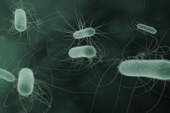 Microorganisms causing pathological discharge when stimulated